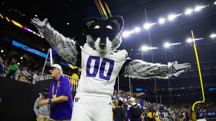 Jan 8, 2024; Houston, TX, USA; Washington Huskies mascot Harry the Husky during the 2024 College Football Playoff national championship game at NRG Stadium. Mandatory Credit: Mark J. Rebilas-Imagn Images