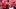 Patrick Mahomes Patrick Mahomes