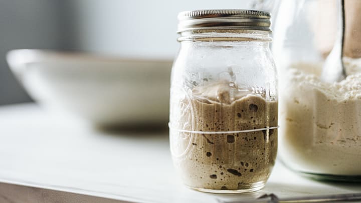 This pile of yeast and bacteria could be helpful for scientists.