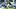 Los Angeles Rams wide receiver Puka Nacua Los Angeles Rams wide receiver Puka Nacua