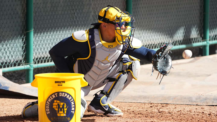 Feb 14, 2025; Phoenix, AZ, USA; Milwaukee Brewers catcher William Contreras (24) works out in the bullpen during spring training camp. Mandatory Credit: Rick Scuteri-Imagn Images