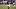 Chicago Bears wide receiver Kalif Raymond. Chicago Bears wide receiver Kalif Raymond.