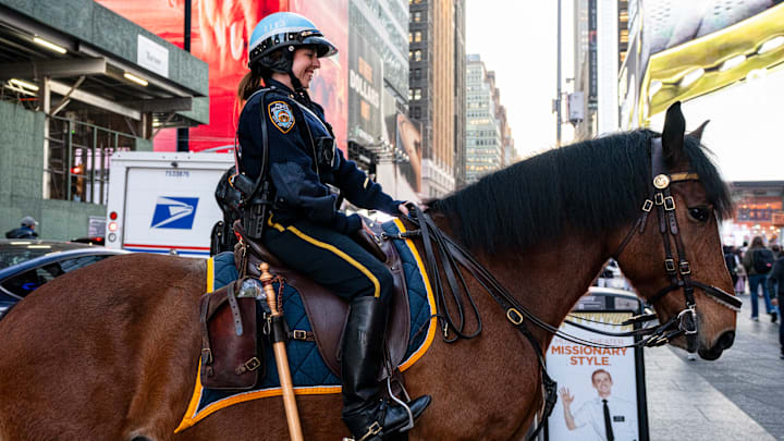 A mounted police officer in New York City.