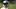 Pittsburgh Steelers quarterback Aaron Rodgers