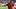Arkansas Razorbacks head coach Ryan Silverfield Arkansas Razorbacks head coach Ryan Silverfield