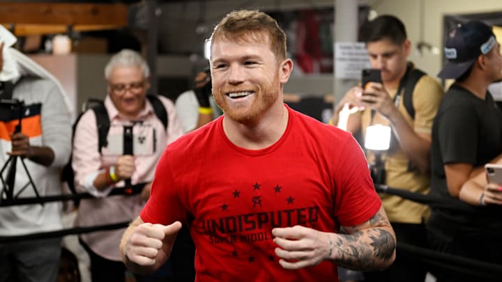 Saúl "Canelo" Álvarez entrenaba boxeo cuando era un niño, mientras vendía paletas de helado junto a su padre