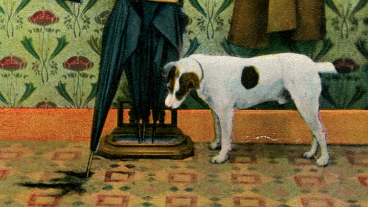 'Now they'll blame me for this?', c1910.Artist: Holmfirth Bamforth and Co