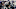 Michael Irvin Michael Irvin