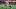 New England Patriots cornerback Marcellas Dial Jr. New England Patriots cornerback Marcellas Dial Jr.