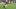 Antonio Williams, Washington Commanders, 2026 Fantasy Football
