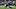 Baltimore Ravens wide receiver Zay Flowers (4) runs with the ball for a touchdown against the Indianapolis Colts in Week 1.