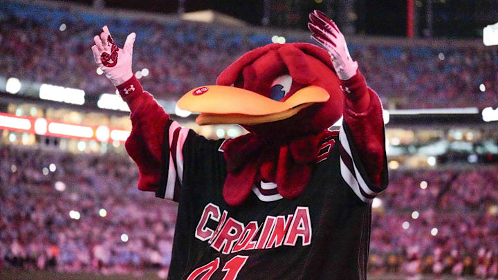 Sep 2, 2023; Charlotte, North Carolina, USA; South Carolina Gamecocks mascot Cocky performs during the second half against the North Carolina Tar Heels at Bank of America Stadium. Mandatory Credit: Jim Dedmon-Imagn Images