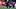 New England Patriots wide receiver A.J. Brown fantasy football New England Patriots wide receiver A.J. Brown fantasy football