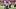 Bo Nix. Bo Nix.