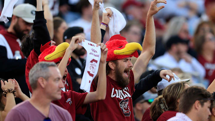 South Carolina football fans