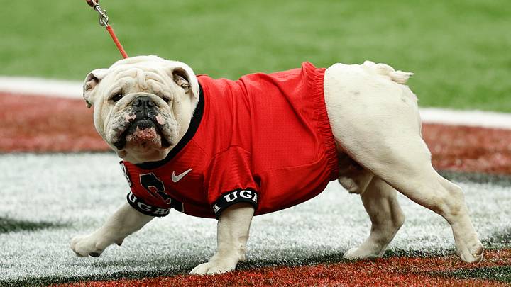 UGA during the 2026 Sugar Bowl. (Geoff Burke / Imagn Images) UGA during the 2026 Sugar Bowl. (Geoff Burke / Imagn Images)