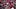 St. Louis Cardinals right fielder Jordan Walker St. Louis Cardinals right fielder Jordan Walker