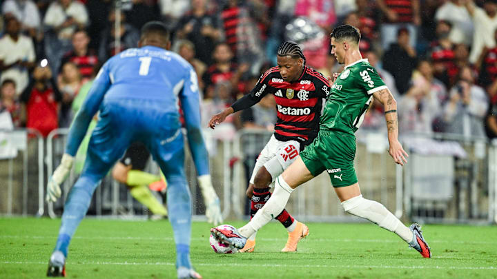 Palmeiras e Flamengo são os grandes postulantes ao título do Brasileirão