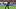 Bayer 04 Leverkusen v Holstein Kiel - Bundesliga