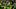 oregon ducks dan lanning dylan raiola dante moore touchdown portland state vikings nebraska cornhuskers transfer quarterback oregon ducks dan lanning dylan raiola dante moore touchdown portland state vikings nebraska cornhuskers transfer quarterback