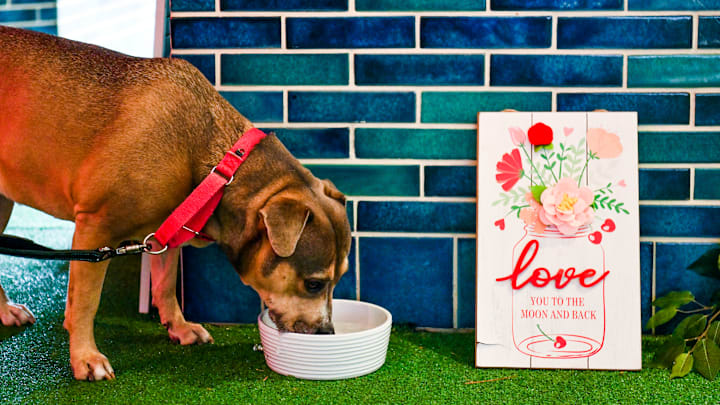 Valentine's Day Pop-Up Mural At The Beverly Center "Alley Of Love" By LA Muralist Ruben Rojas