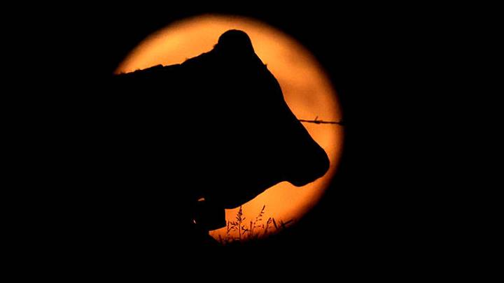 Strawberry moon over Upper Bavaria