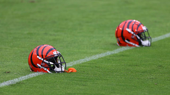 Cincinnati Bengals v Baltimore Ravens