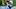 Tennessee Titans wide receiver Carnell Tate