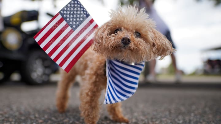 Americans Celebrate Memorial Day Weekend At Myrtle Beach