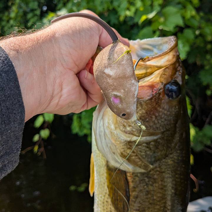 braided fishing line 30lb Power Pro Spectra 150yd/Green pleasing benefits tanglefree Berkley FireLine - Smoke Color:Gray