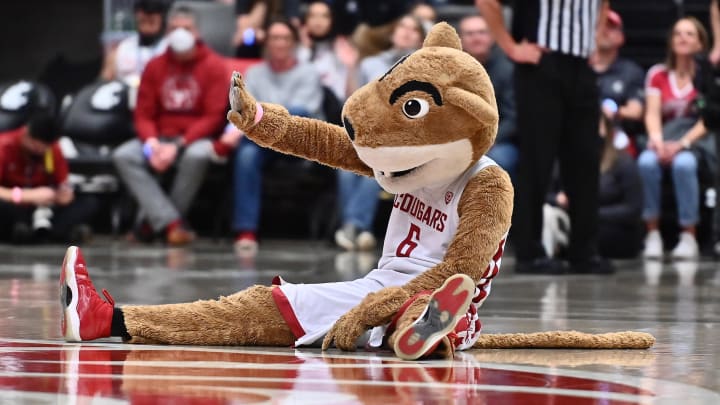 Mar 5, 2022; Pullman, Washington, USA; Washington State Cougars mascot Butch perform against the Oregon Ducks in the second half at Friel Court at Beasley Coliseum. Washington St. won 94-74. Mandatory Credit: James Snook-USA TODAY Sports