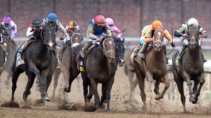 Ocelli (far left) is running in the Preakness after finishing third at the Kentucky Derby. 