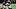 Saints RB Alvin Kamara Saints RB Alvin Kamara