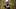 Arizona Cardinals quarterback Carson Bec Arizona Cardinals quarterback Carson Bec