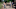 TWD_913_GP_1002_0456_RT