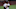San Diego Padres center fielder Trent Grisham San Diego Padres center fielder Trent Grisham