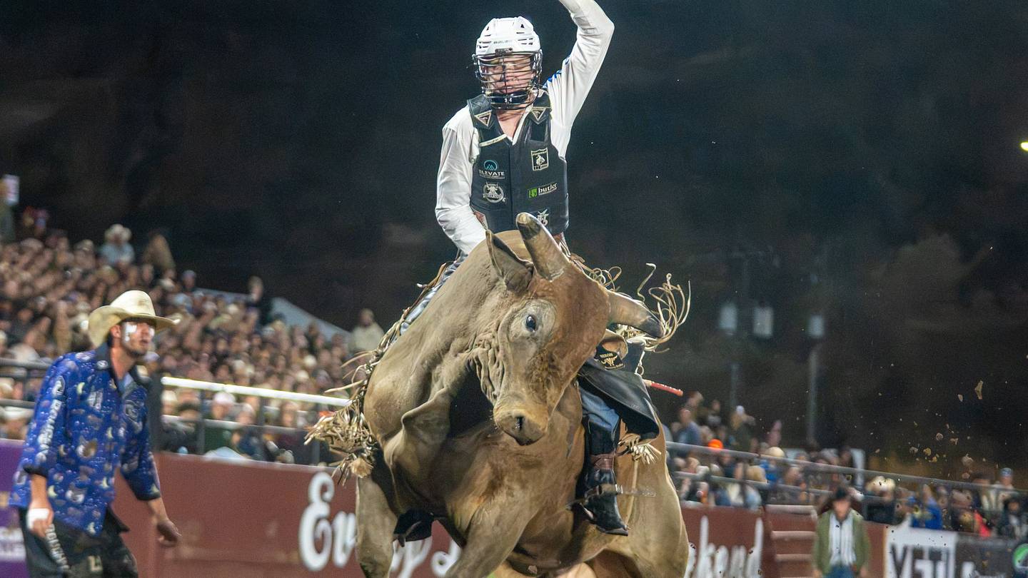 Bull Riders Looking for Separation, Security in Governor's Cup Showdown