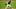 Chicago White Sox pitcher Sean Newcomb Chicago White Sox pitcher Sean Newcomb