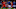Gareth Barry, Roberto Firmino