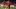 Atletico de Madrid v Granada CF - La Liga EA Sports Atletico de Madrid v Granada CF - La Liga EA Sports