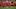 Cedric Itten, Djibril Sow, Granit Xhaka, Manuel Akanji Cedric Itten, Djibril Sow, Granit Xhaka, Manuel Akanji