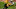 Kris Abrams-draine, LA Rams, Rams draft, Rams mock draft Kris Abrams-draine, LA Rams, Rams draft, Rams mock draft