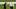 Paul Finebaum Calls for Firing of Major College Football Coach After Week 1 Paul Finebaum Calls for Firing of Major College Football Coach After Week 1