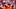 Denver Broncos wide receiver Courtland Sutton, Fantasy Football Denver Broncos wide receiver Courtland Sutton, Fantasy Football