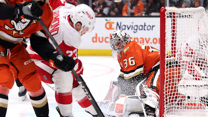 Detroit Red Wings v Anaheim Ducks