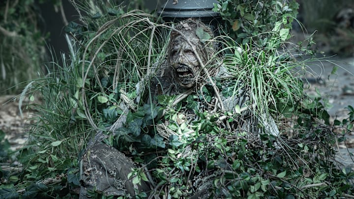 A Walker In The Walking Dead: Daryl Dixon season 3 A Walker In The Walking Dead: Daryl Dixon season 3