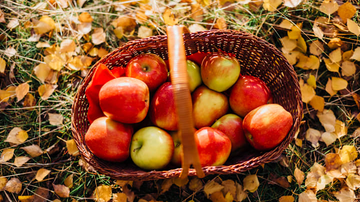 September is prime apple picking season.
