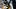 Pittsburgh Steelers cornerback Joey Porter Jr. Pittsburgh Steelers cornerback Joey Porter Jr.