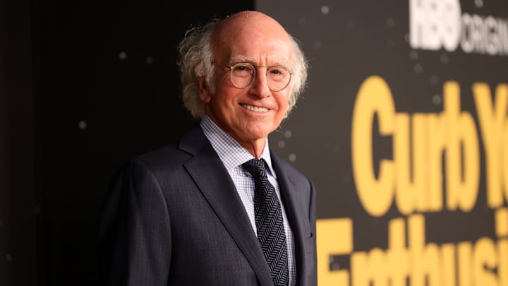 Larry David, Curb Your Enthusiasm