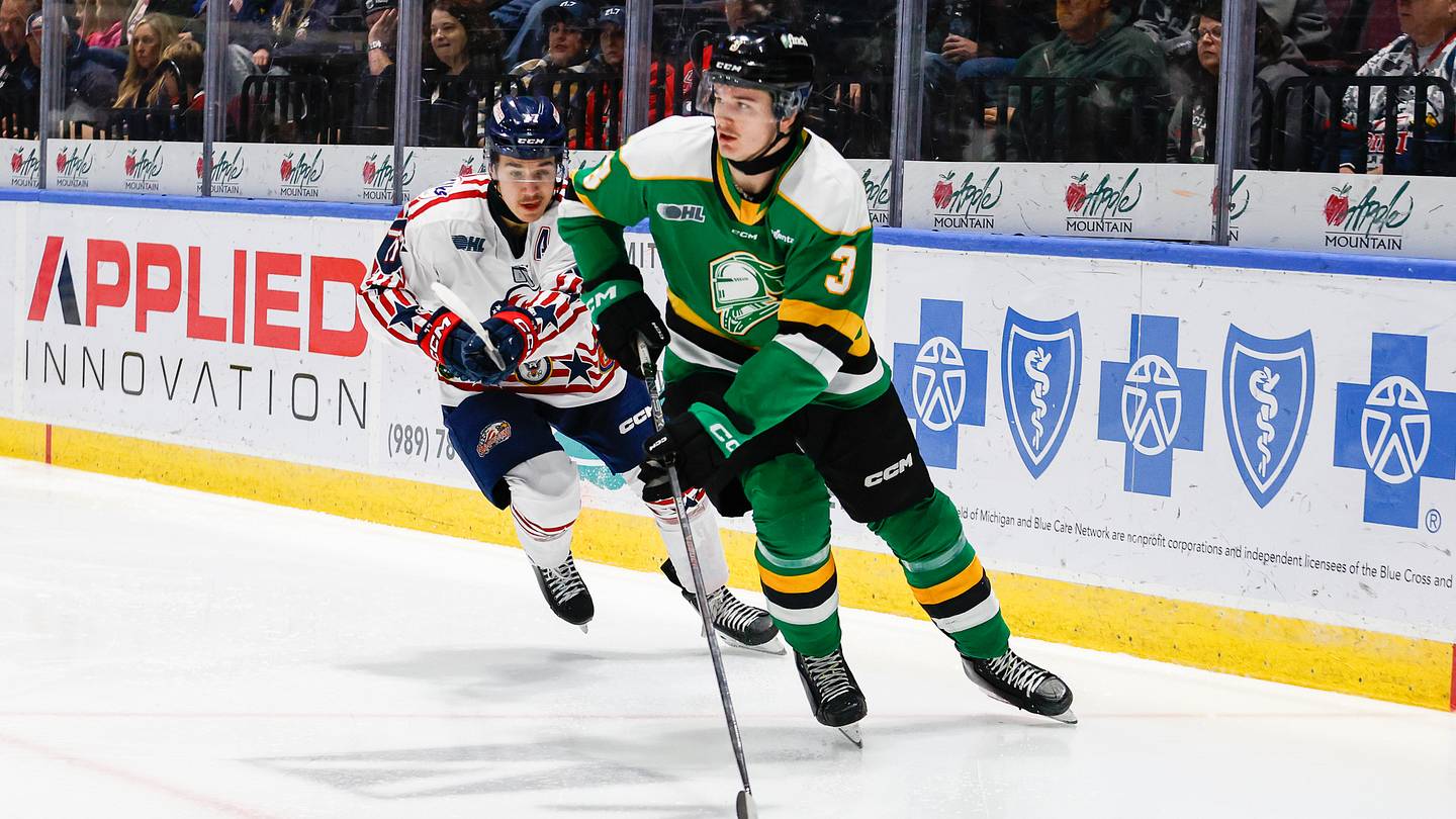 Sharks Eye Bright Future with Rising Stars